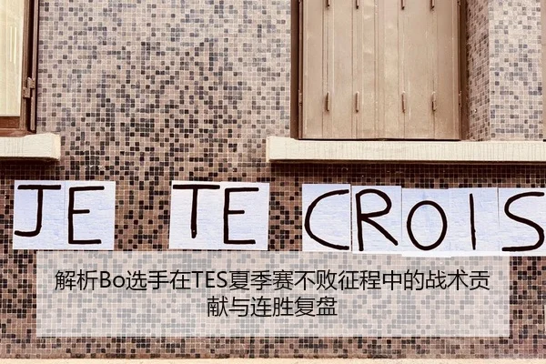 解析Bo选手在TES夏季赛不败征程中的战术贡献与连胜复盘