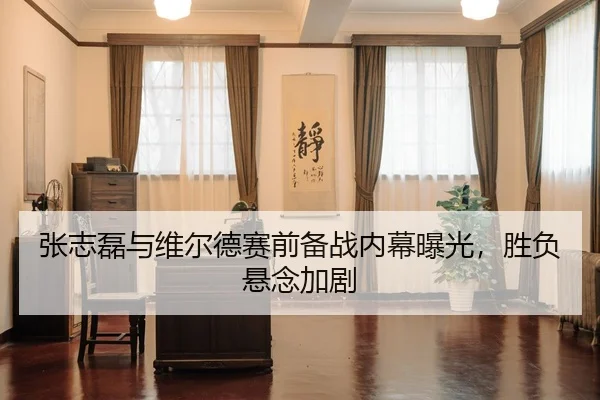 张志磊与维尔德赛前备战内幕曝光，胜负悬念加剧